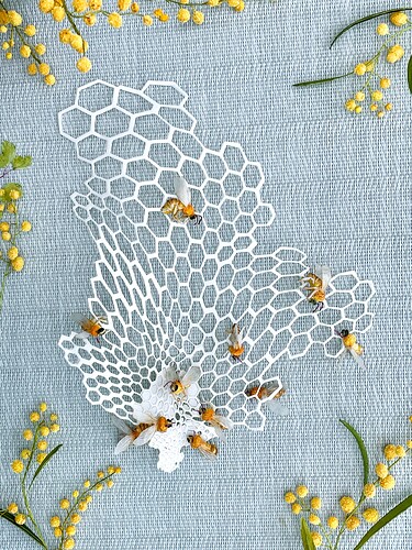 5 Honeycomb Bees 1