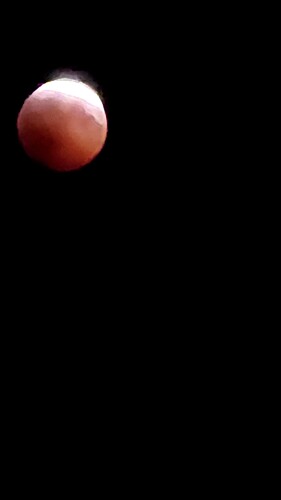 20260828_000010(1)
