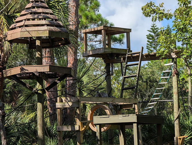 Brevard Zoo