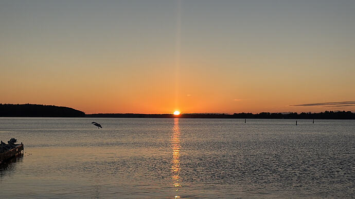 IMG_5667