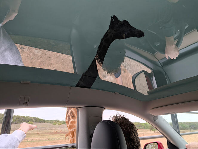 overview_image_126186077_796039