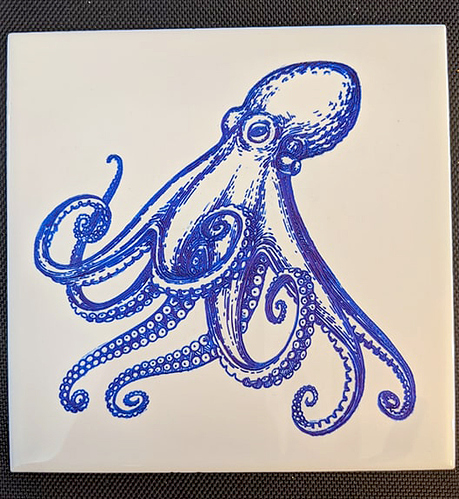 octopus_1