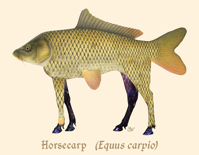 equus%20carpio