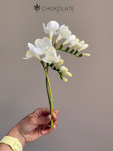 Freesia WF back&front Workshop