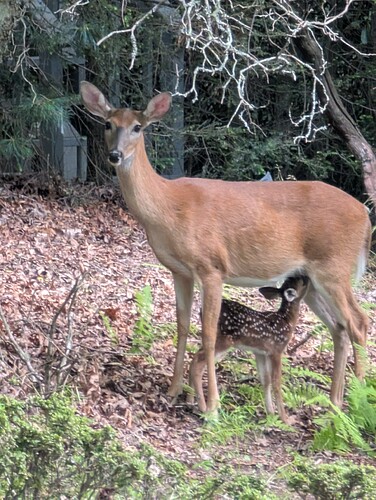 PXL_20250715_162915707.MP