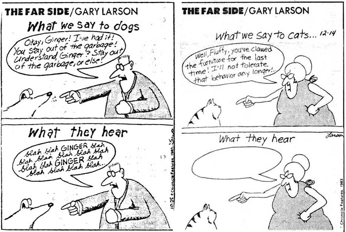 Gary Larson -- Dogs & Cats