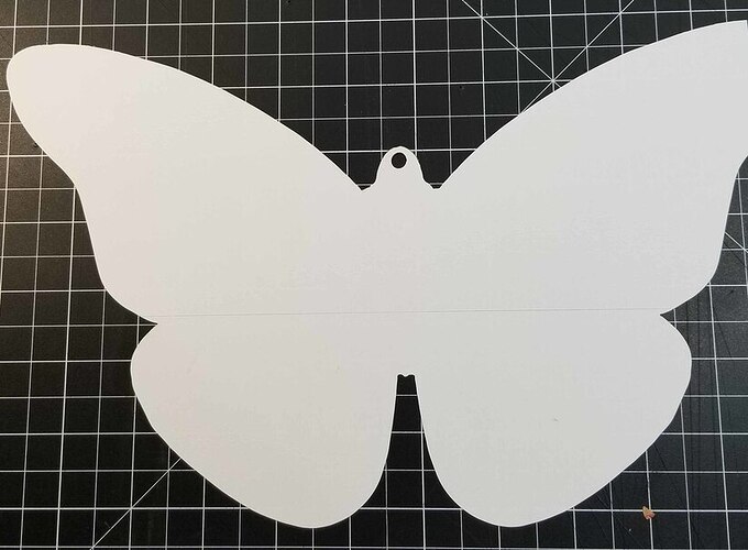 Butterfly%20Backing