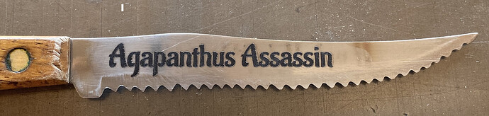 Agapanthus Assassin, 14Jun2021