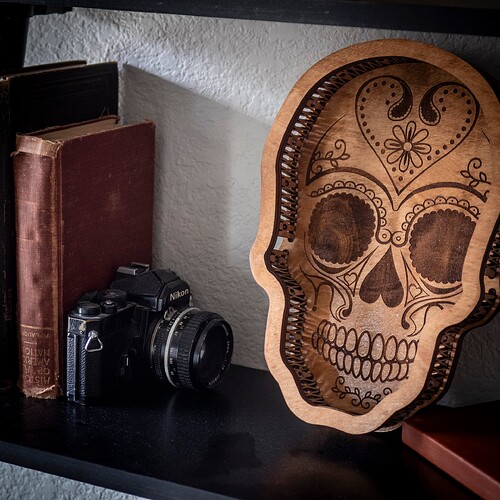 SkullDecor_bookcase