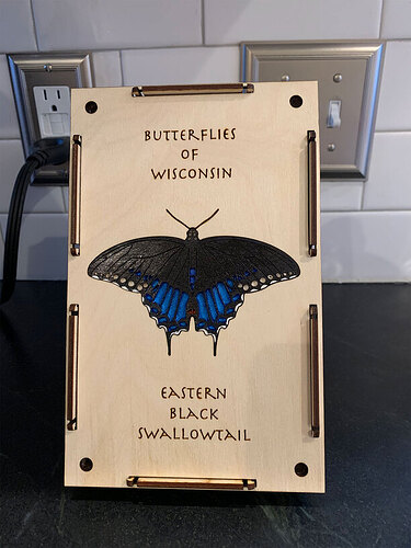 BlackSwallowtailFinished