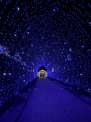 7CF09FB6-7B1A-4FC7-B0EE-01D43A133562_1_102_o