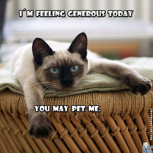 17562626085822317088244613701005