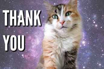 51-Thank-you-memes-with-cats-space-cat