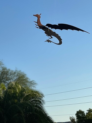 dragon in flight #1