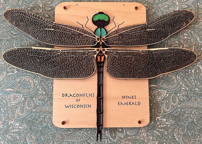 dragonfly6