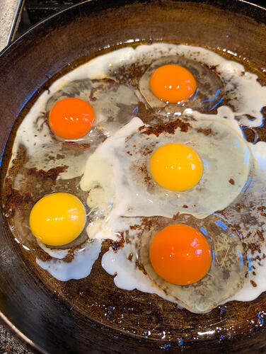 overview_image_86963261_499398