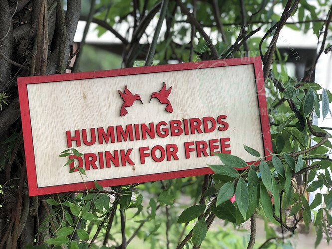 Hummingbird Feeder 8