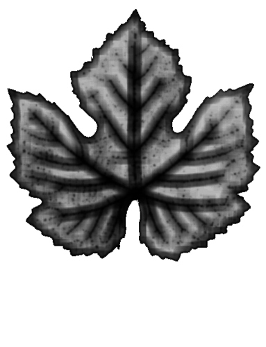 Leaf 3D Engrave
