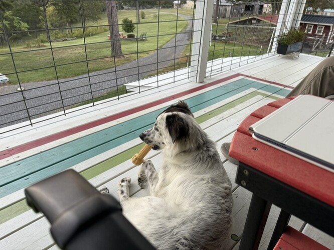 E2121105-BB73-4BB1-9B1B-736C8128C2B7_1_105_c