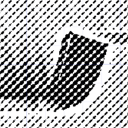 CleanShot 2025-04-24 at 19.54.54@2x