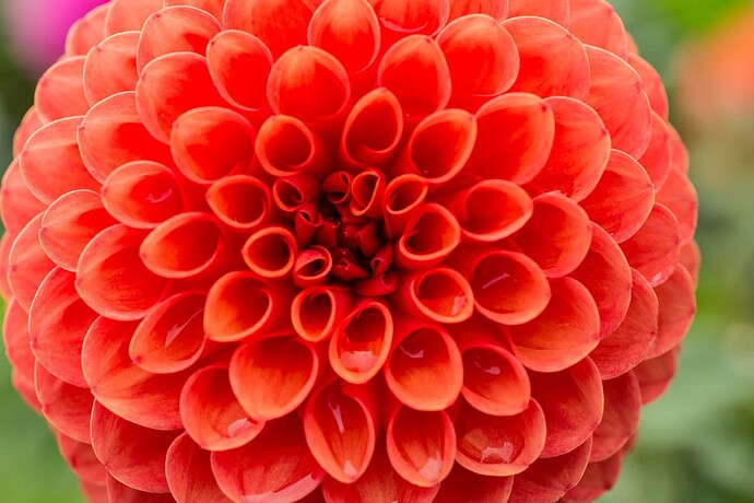 ACrawford_20160907_0102