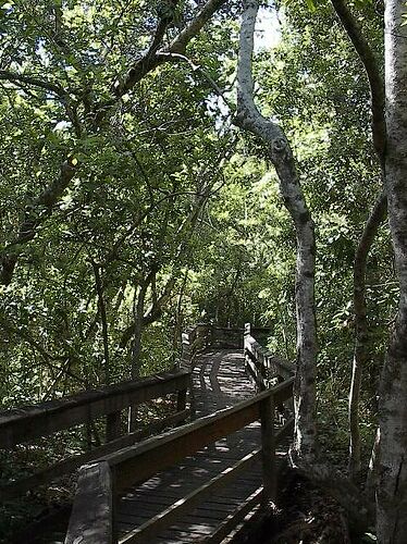 path