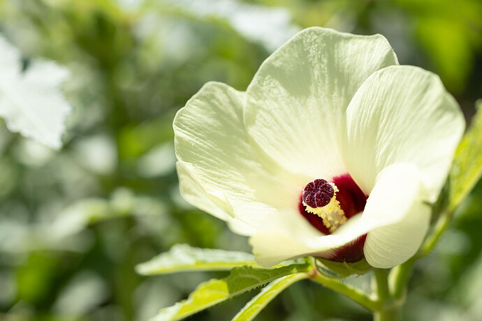 ACrawford_20250925_0015