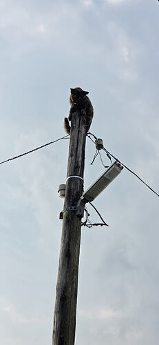 20260813_165904