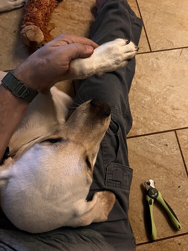 IMG_1489
