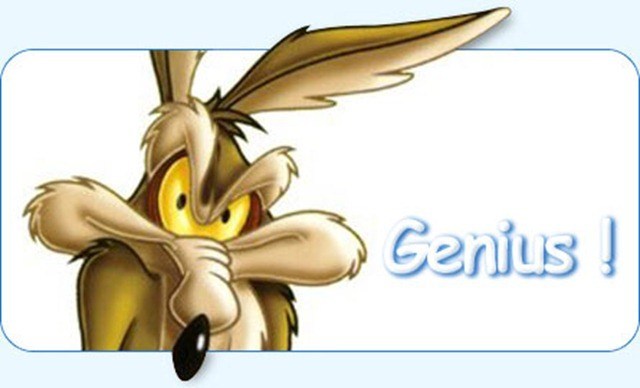 wile-coyote-A