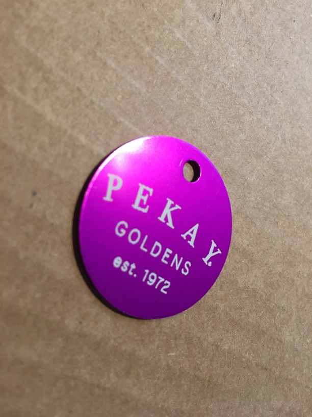 Laser Safe Pet Tag Question Everything Else Glowforge Owners Forum