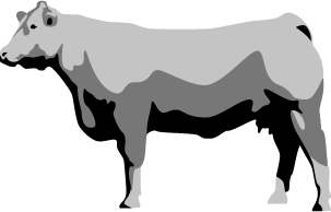 cow-only