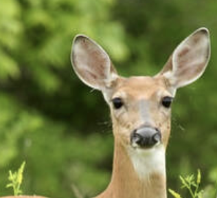 Screenshot 2023-07-02 at 4.29.45 PM