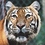 judy_hoyle