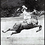 rivercitysaddlery